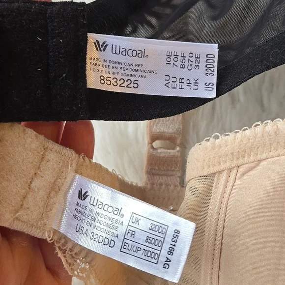 Wacoal/ B. Tempted Bra Bundle 32DDD